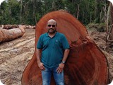 Forest Logging  (13)